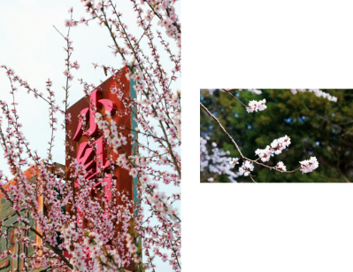 微信图片_2026-04-15_183319_420