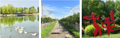 微信图片_2026-04-15_183323_364