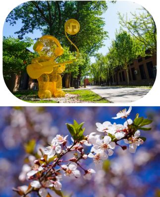 微信图片_2026-04-15_183326_125