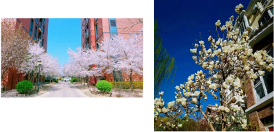 微信图片_2026-04-15_180704_319