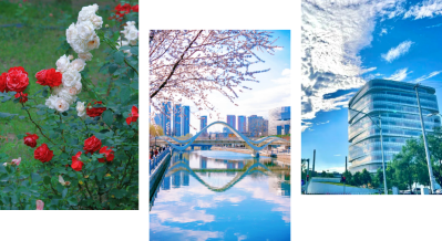 微信图片_2026-04-15_183331_181