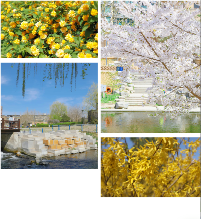 微信图片_2026-04-15_180711_431