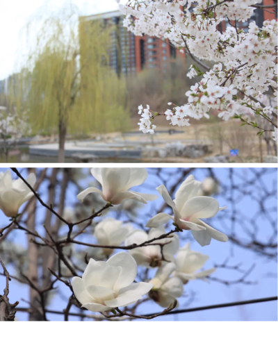 微信图片_2026-04-15_180713_654