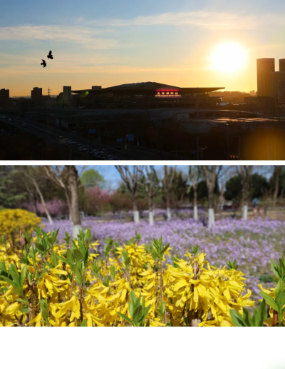 微信图片_2026-04-15_180715_935