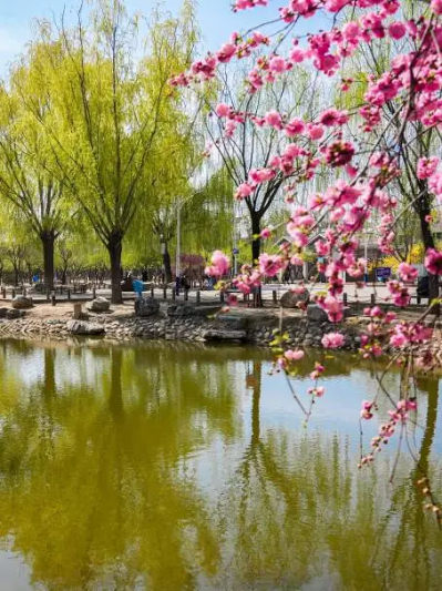 微信图片_2026-04-15_180718_150