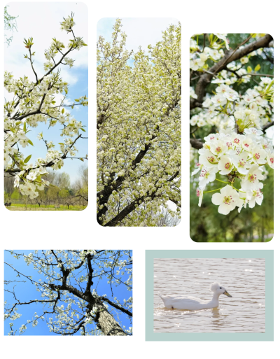 微信图片_2026-04-15_180722_847