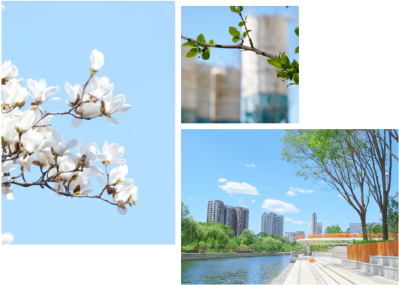 微信图片_2026-04-15_180724_981