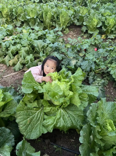 微信图片_2026-04-16_094403_642 微信图片_2026-04-16_094403_642