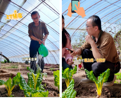 微信图片_2026-04-16_094414_481 微信图片_2026-04-16_094414_481