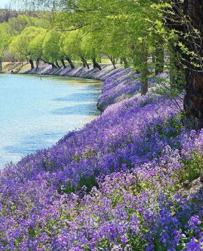 微信图片_2026-04-16_134731_343