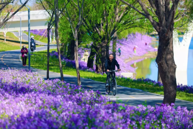 微信图片_2026-04-16_134733_688