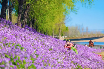 微信图片_2026-04-16_134737_376