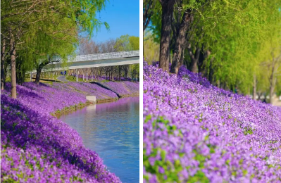 微信图片_2026-04-16_134741_871