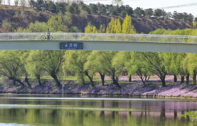 微信图片_2026-04-16_134739_400