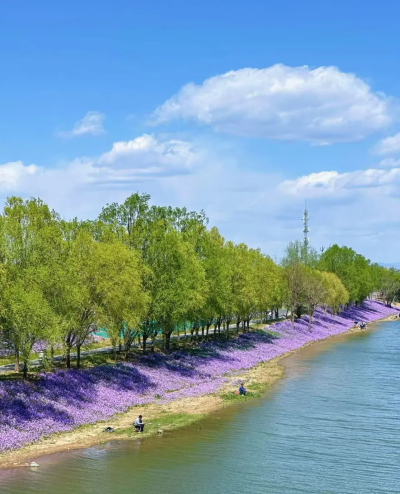 微信图片_2026-04-16_134743_798