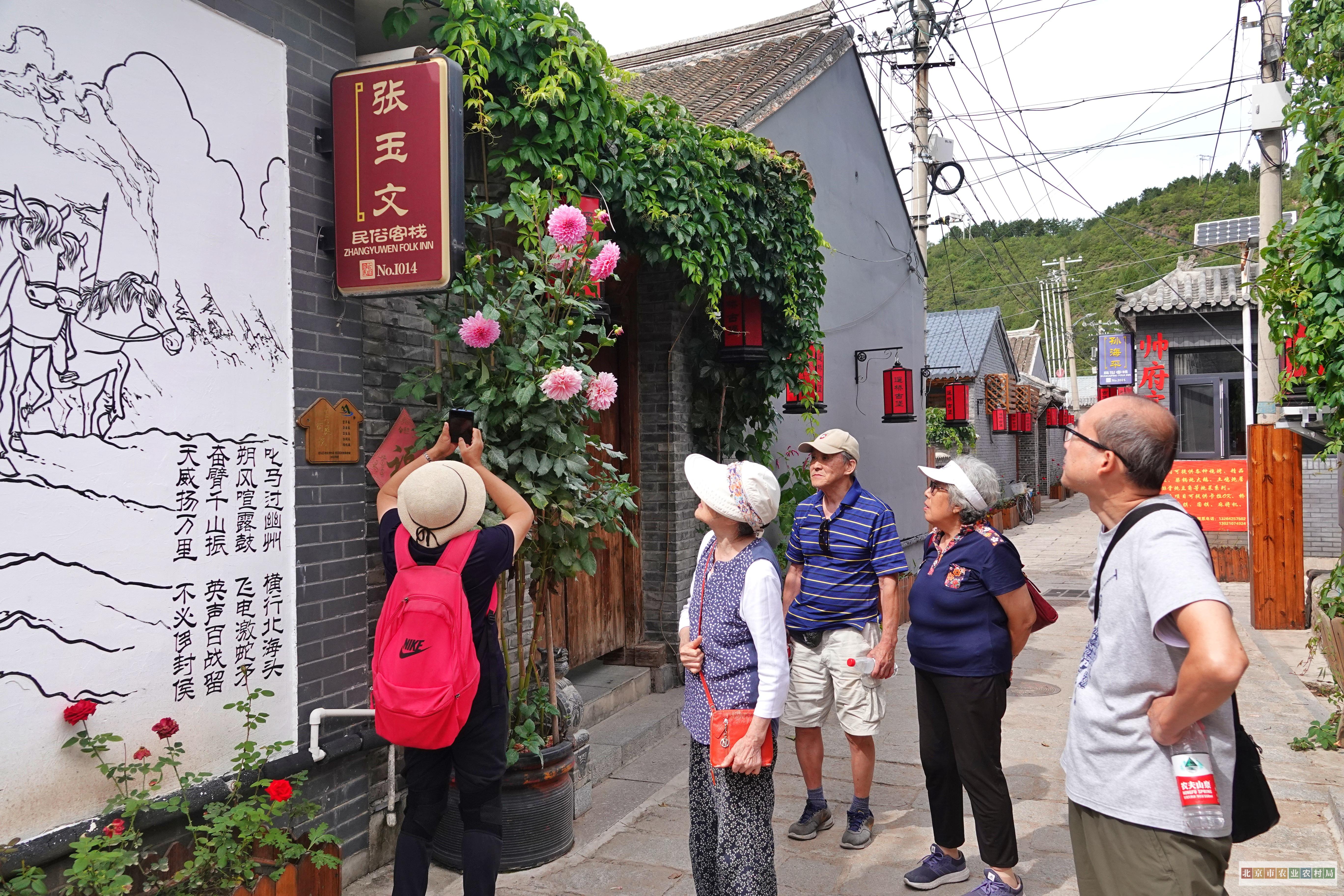 59杨建国 民宿赏花