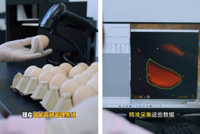 微信图片_2026-08-19_144300_228