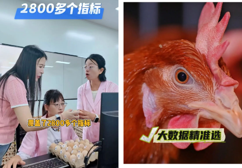 微信图片_2026-08-19_144307_909