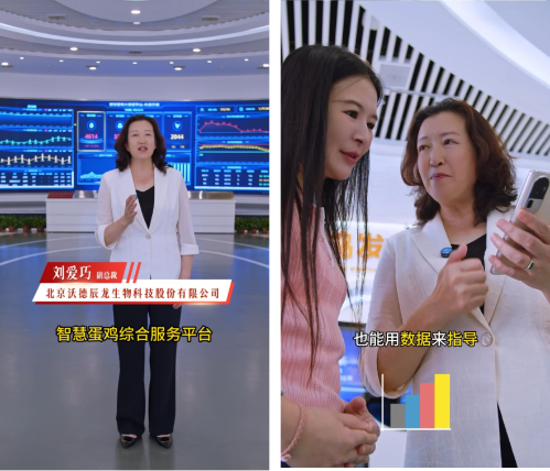 微信图片_2026-08-19_144312_582