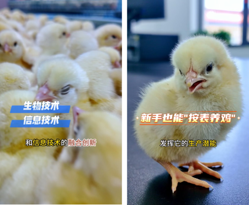 微信图片_2026-08-19_144315_093