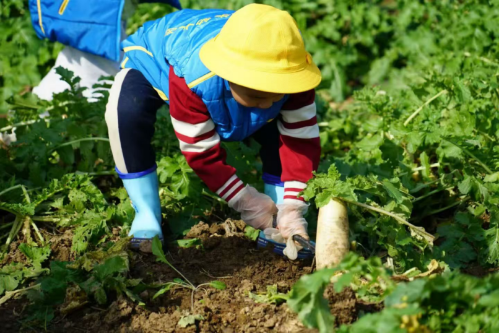 微信图片_2025-11-13_151103_631 微信图片_2025-11-13_151103_631