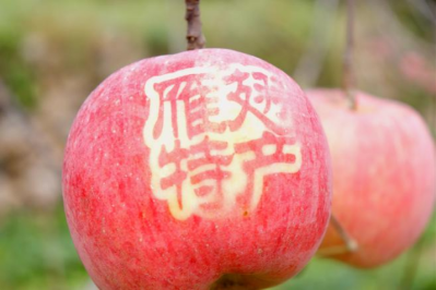 微信图片_2025-11-28_153315_059