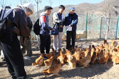 微信图片_2025-11-28_153330_922