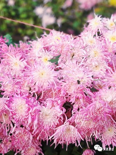 微信图片_2025-12-01_173654_405