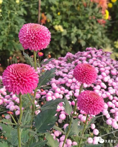 微信图片_2025-12-01_173659_052