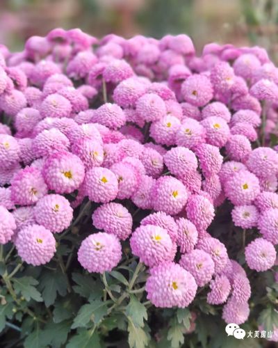 微信图片_2025-12-01_173701_924