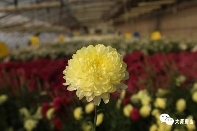 微信图片_2025-12-01_173710_660