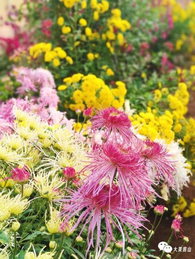 微信图片_2025-12-01_173704_901