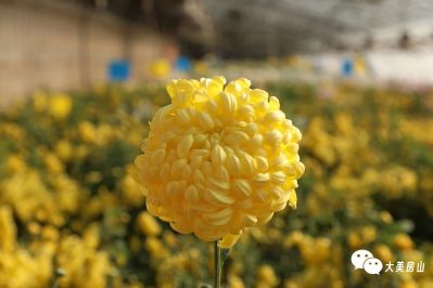 微信图片_2025-12-01_173707_828