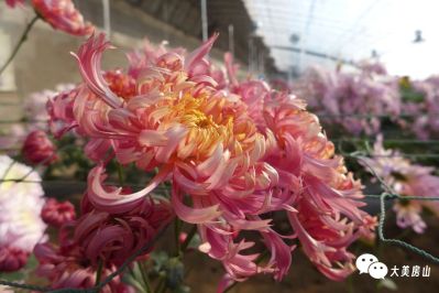 微信图片_2025-12-01_173713_677