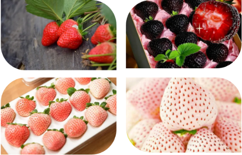 微信图片_2025-12-04_180153_057