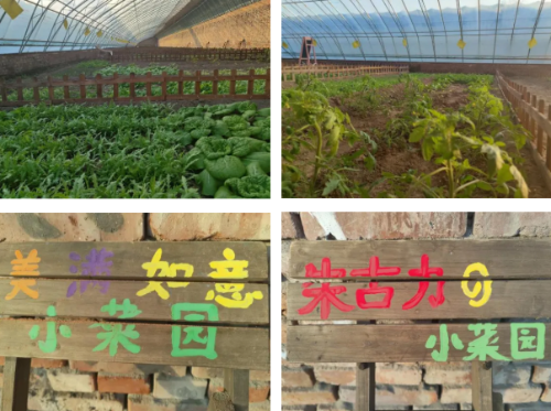 微信图片_2025-12-04_180155_257