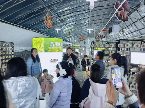 微信图片_2025-12-04_180157_432