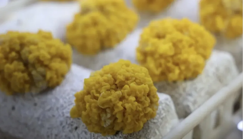 微信图片_2025-12-04_180159_705