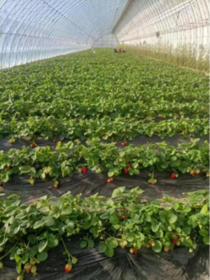 微信图片_2025-12-23_153954_351