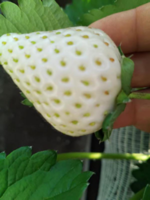 微信图片_2025-12-23_153956_432