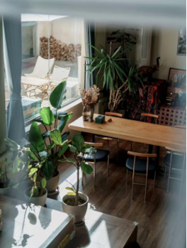 微信图片_2025-12-23_154005_918