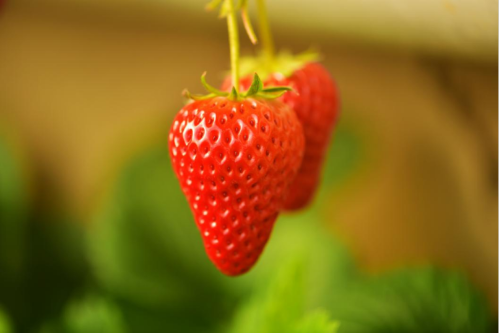 微信图片_2025-12-29_110258_530