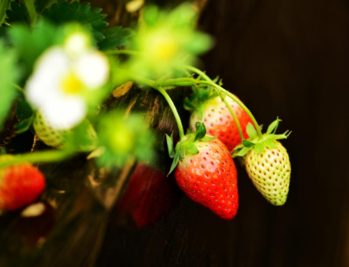 微信图片_2025-12-29_110312_259