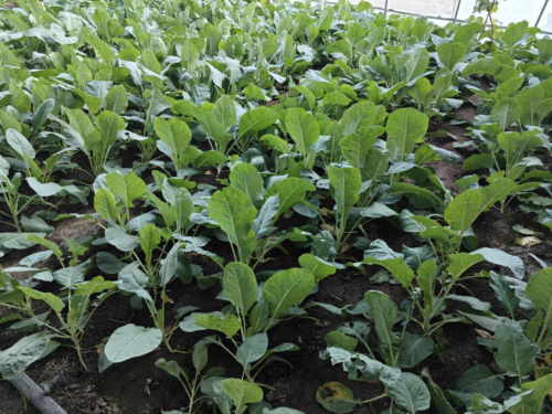 微信图片_2025-12-29_110316_963