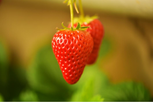 微信图片_2025-12-29_110314_538