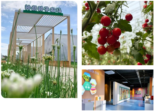 微信图片_2025-12-29_120050_523