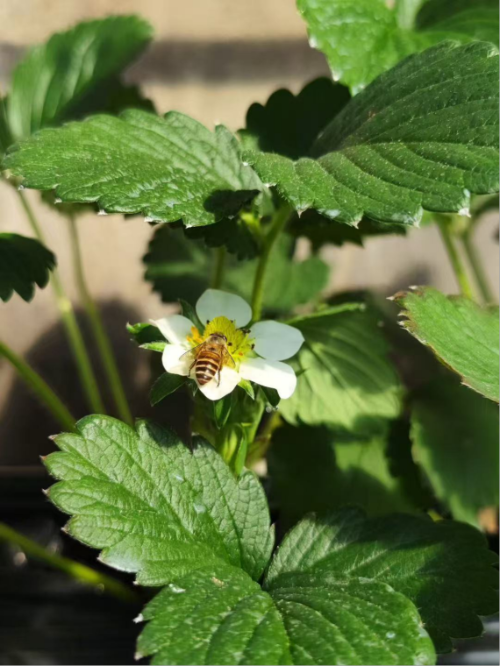 微信图片_2025-12-29_115845_587