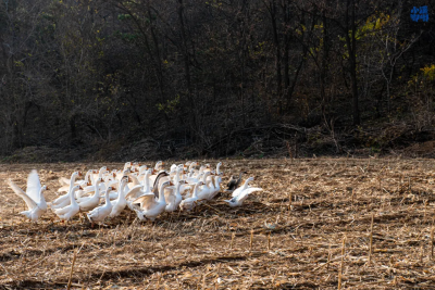 微信图片_2026-01-05_093558_467