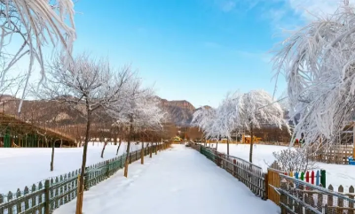 微信图片_2026-01-05_093606_468