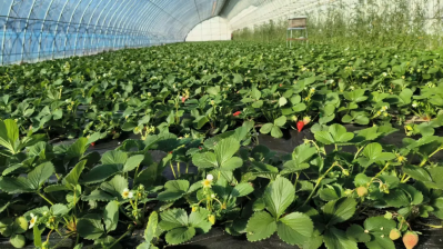 微信图片_2026-01-05_093616_931